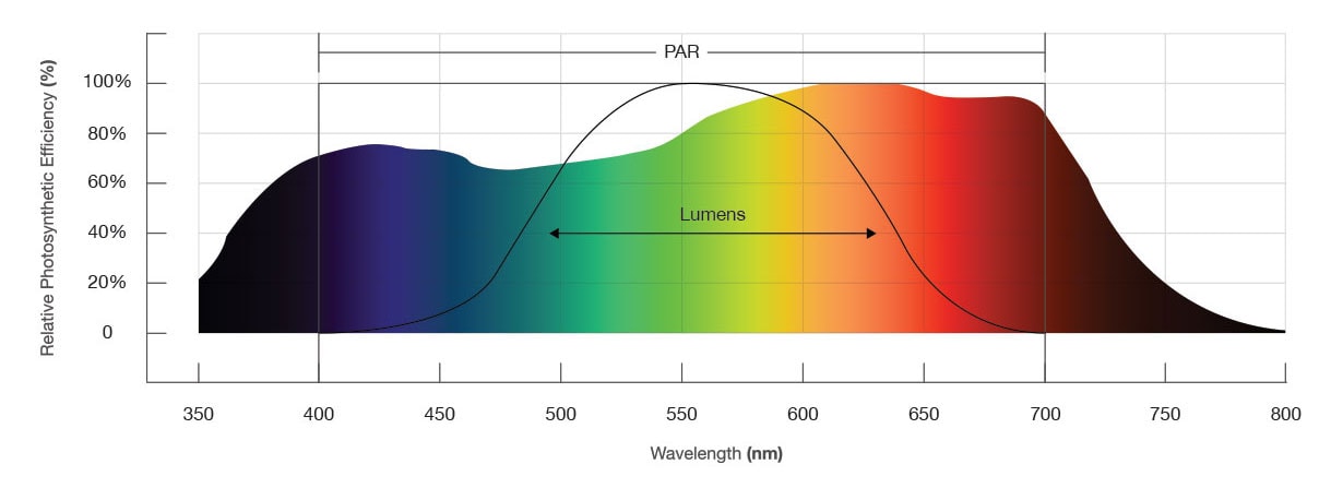 Photosynthetic light response curves 1 1
