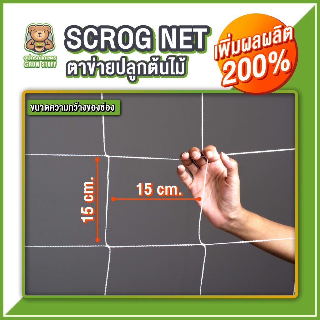 Scrog Net SH 104