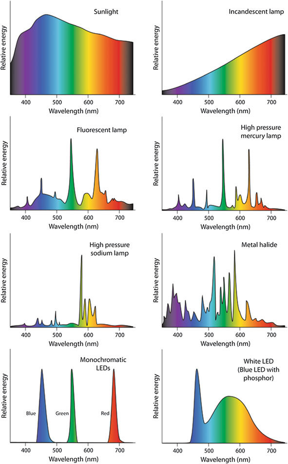 Spectral outputs of the various light sources