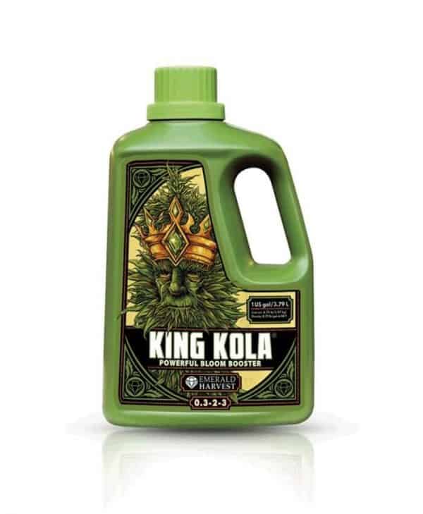 king kola 1l 600x729 2