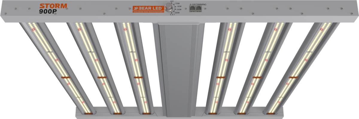 Bearled 900PE 300W LED