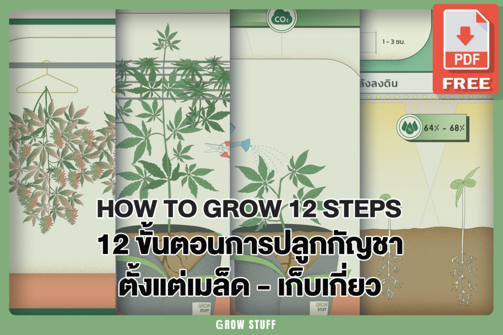 Cover How to Grow 12 Cover 1 2