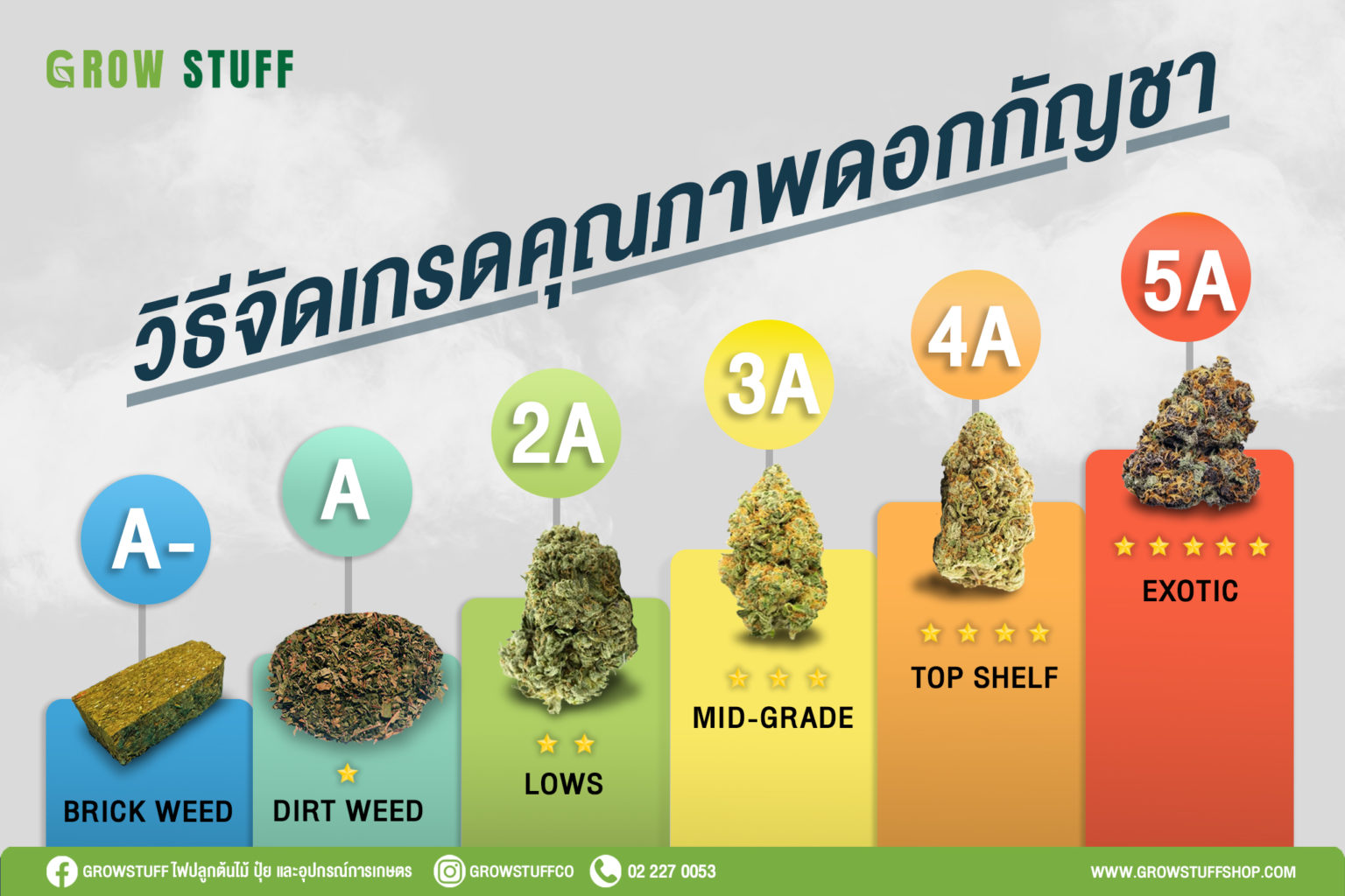 วิธีการจัด 6 เกรดกัญชาสากลแบ่งอย่างไร ? อัดแท่งถึง Excotics GrowStuff