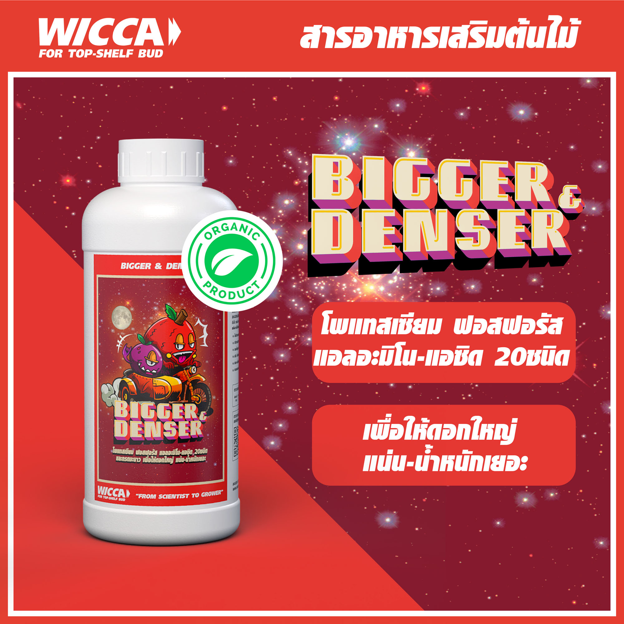 WICCA ADS COVER - BIGGER