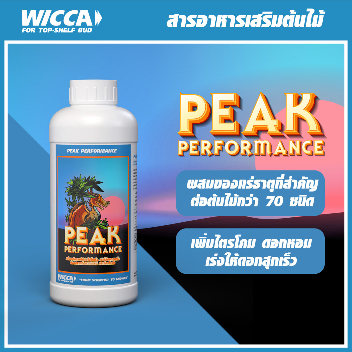 WICCA ADS COVER PEAK 1 scaled