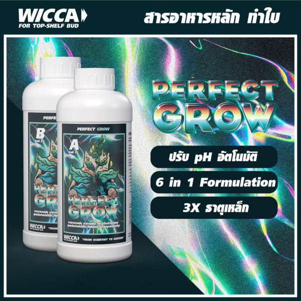 WICCA ADS COVER PERFECT GROW