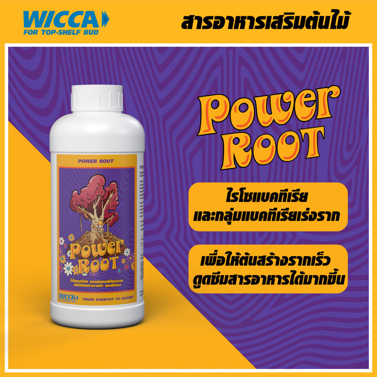 WICCA ADS COVER POWER ROOT