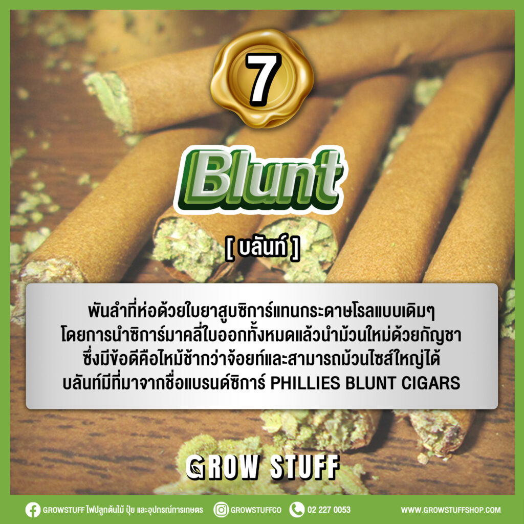 รวมคำศัพย์กัญชาภาษาอังกฤษที่สายเขียวควรรู้ [ตอนที่ 1] - Growstuff Shop  อุปกรณ์ปลูกต้นไม้