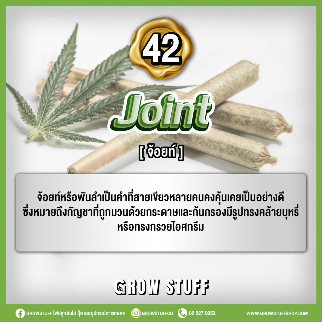 รวมคำศัพย์กัญชา ภาษาอังกฤษที่สายเขียวควรรู้ [ตอนที่ 2] - Growstuff Shop  อุปกรณ์ปลูกต้นไม้