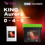 king aurora