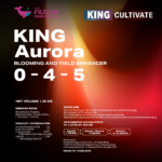 king aurora