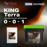 king terra