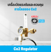คาร์บอน รูปที่ 1